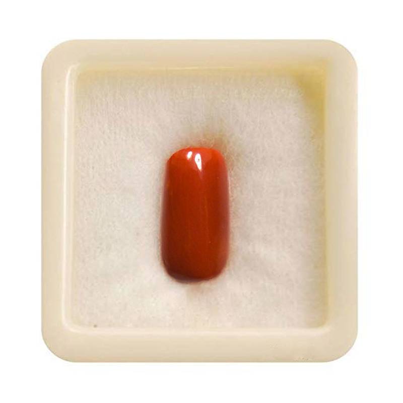 Moonga (Coral Gemstone) – Normal Quality | Certified Natural Red Coral for Mangal (Mars) Remedies