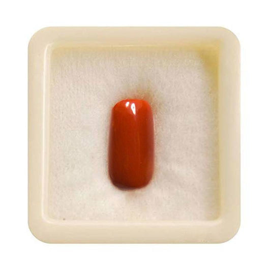 Moonga (Coral Gemstone) – Normal Quality | Certified Natural Red Coral for Mangal (Mars) Remedies